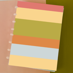 Caderno inteligente (discos) - 80 folhas -Listras